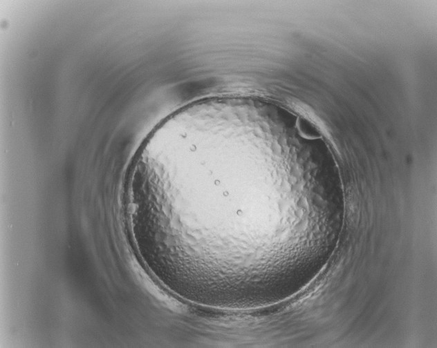 X0000060751091200511171116