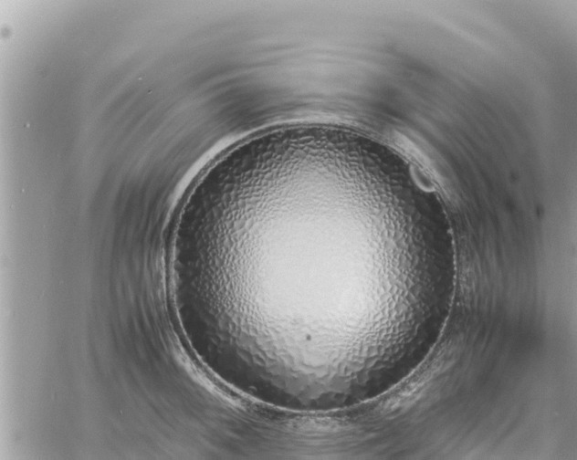 X0000060751092200511171116