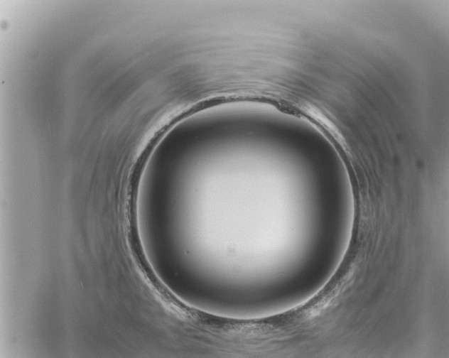 X0000060751093200511171116