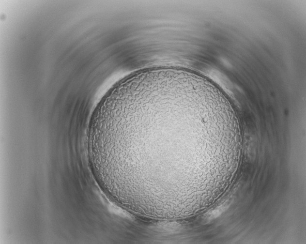 X0000060751094200511171116