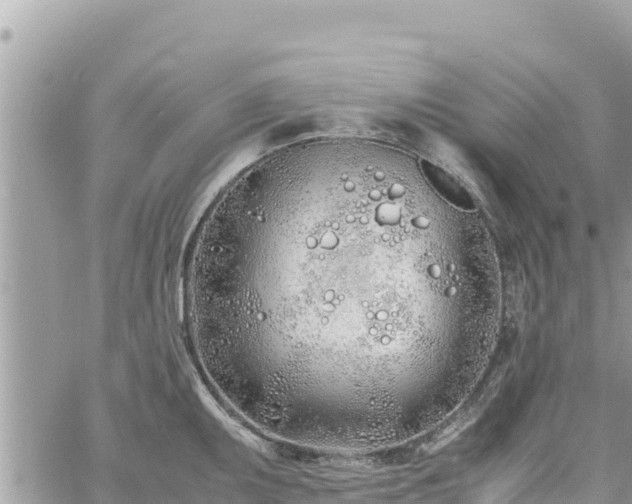 X0000060751095200511171116