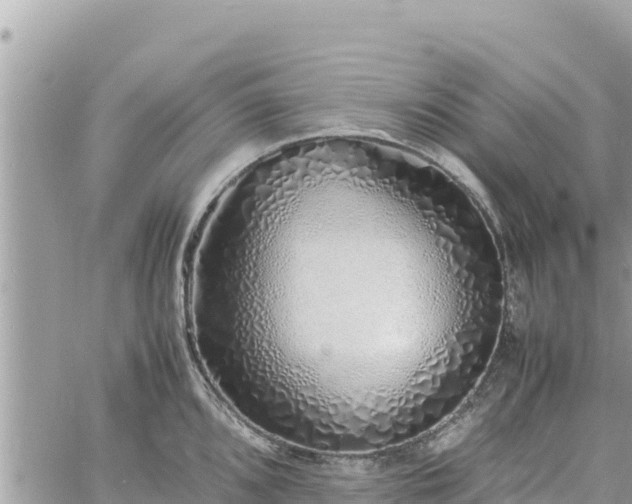 X0000060751096200511171116