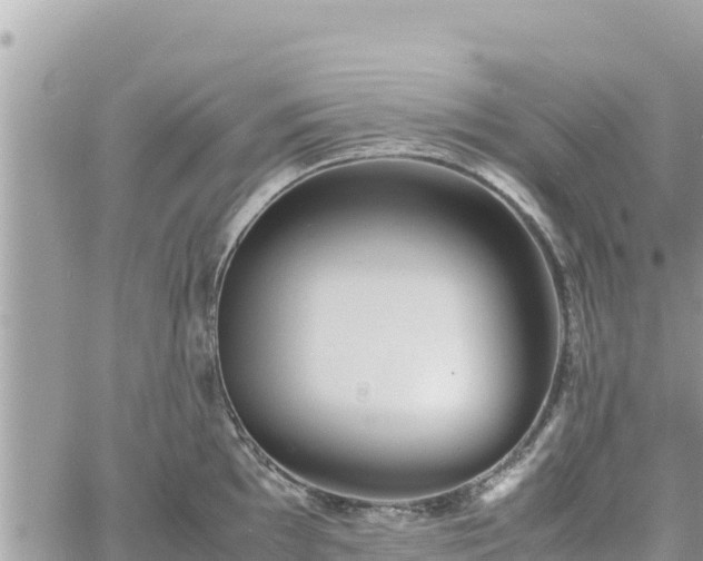 X0000060751097200511171116