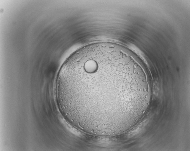 X0000060751098200511171116