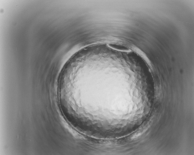 X0000060751099200511171116