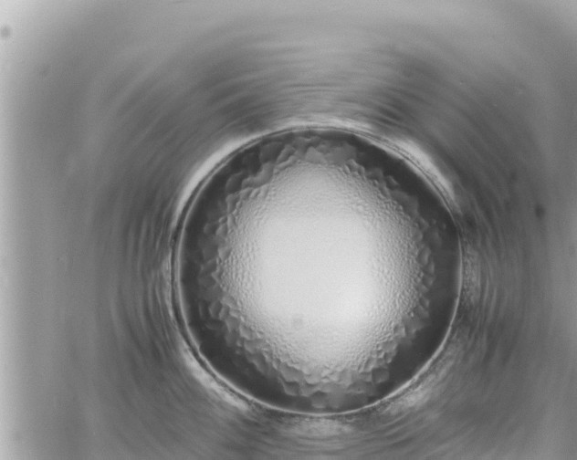 X0000060751100200511171116