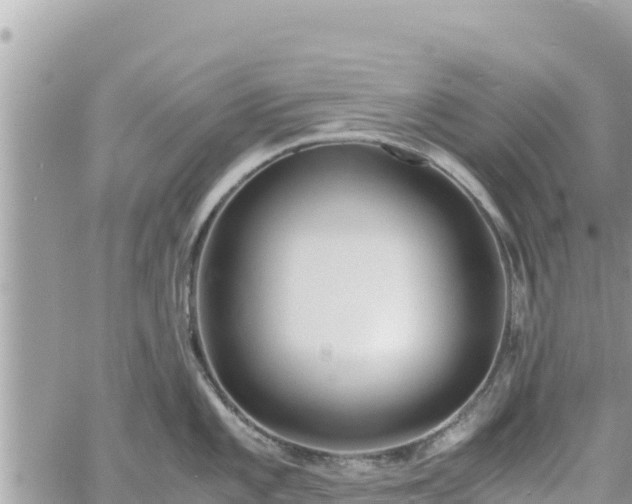 X0000060751101200511171116