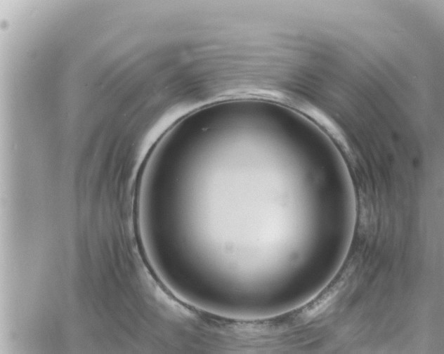 X0000060751102200511171116