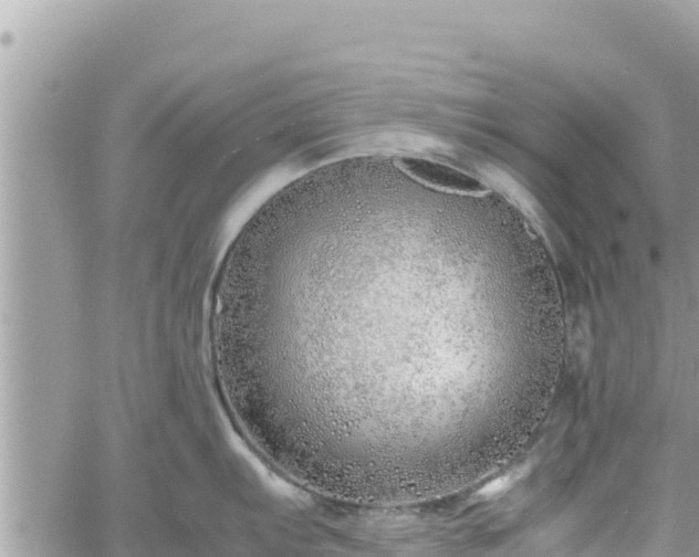 X0000060751103200511171116