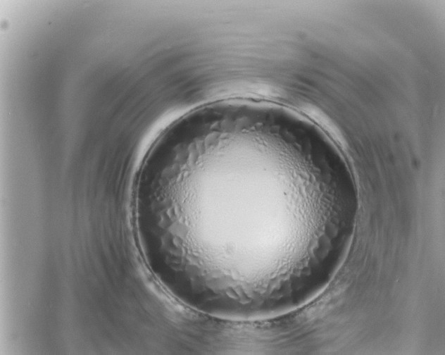 X0000060751104200511171116