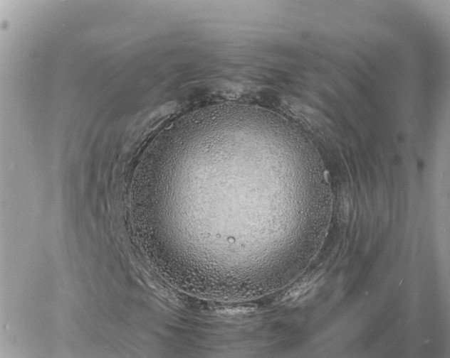 X0000060751105200511171115