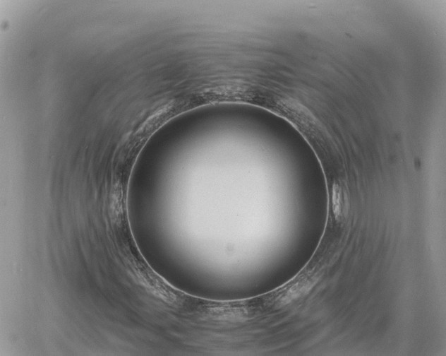 X0000060751107200511171115