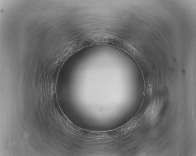 X0000060751108200511171115