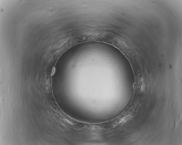 X0000060751109200511171115