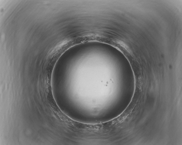 X0000060751111200511171115