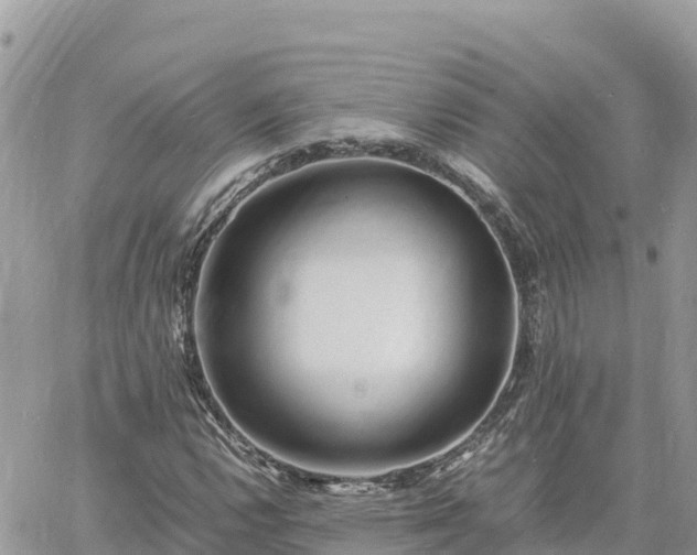 X0000060751112200511171115