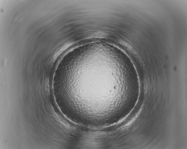 X0000060751113200511171115