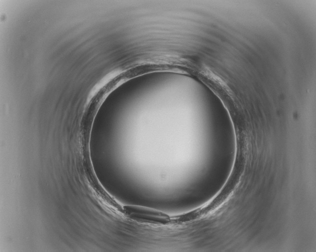 X0000060751114200511171115