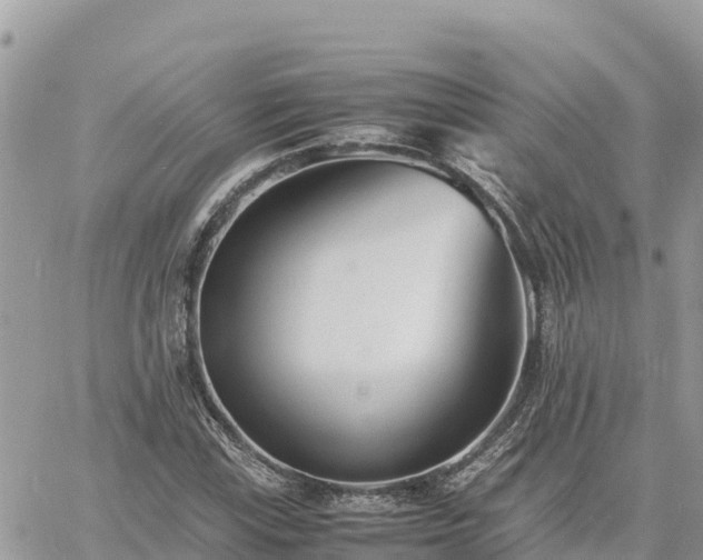 X0000060751115200511171115