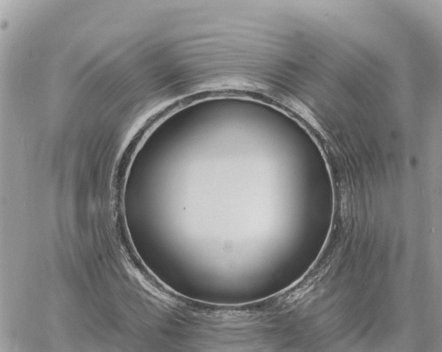 X0000060751116200511171115