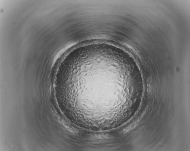 X0000060751117200511171115