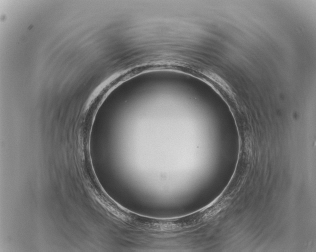 X0000060751120200511171115