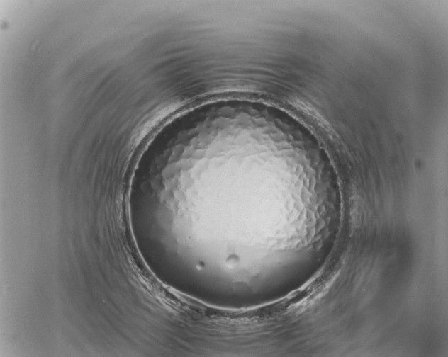 X0000060751121200511171115