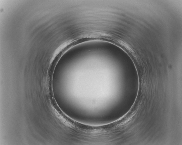 X0000060751122200511171115