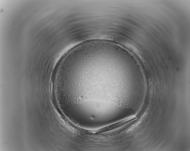 X0000060751125200511171116