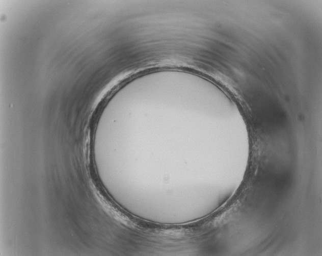 X0000060751126200511171116