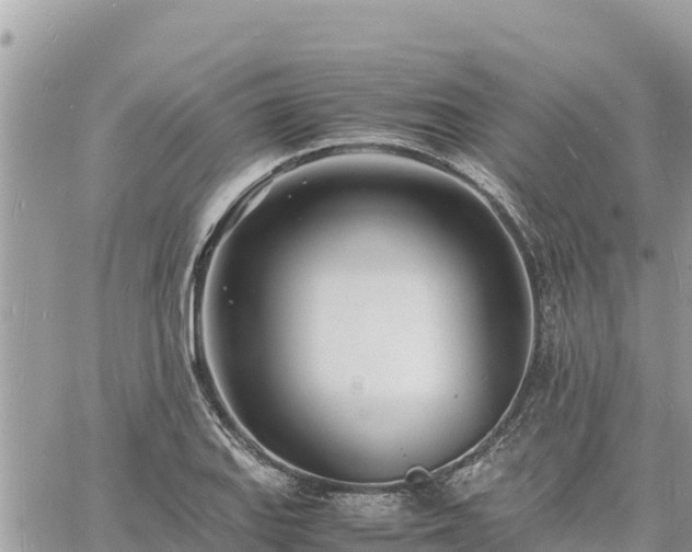 X0000060751127200511171116