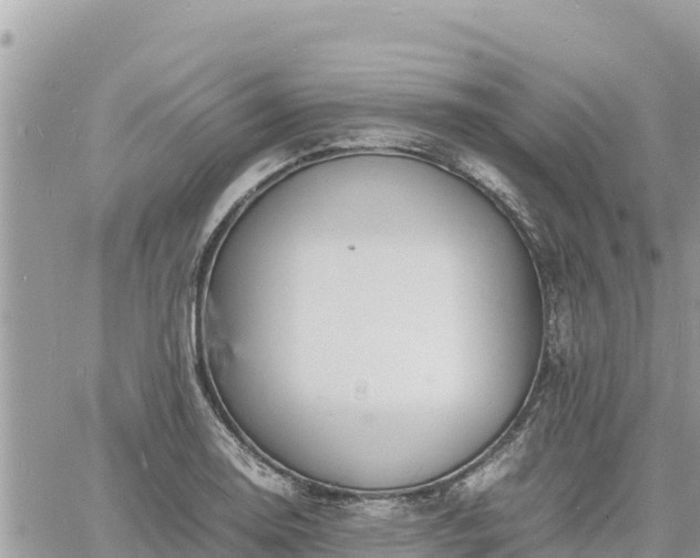 X0000060751130200511171116