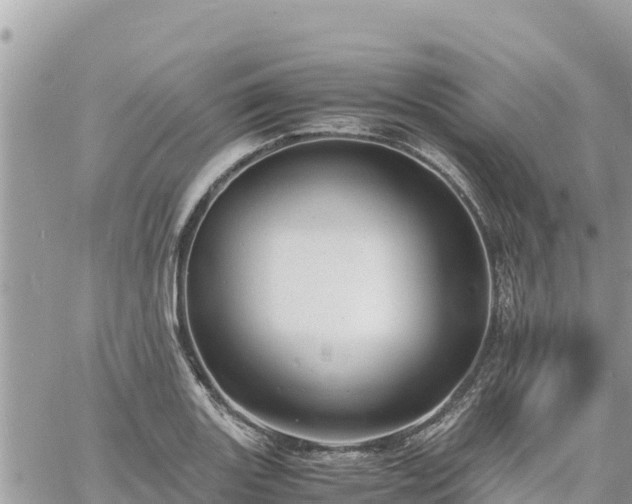 X0000060751131200511171116