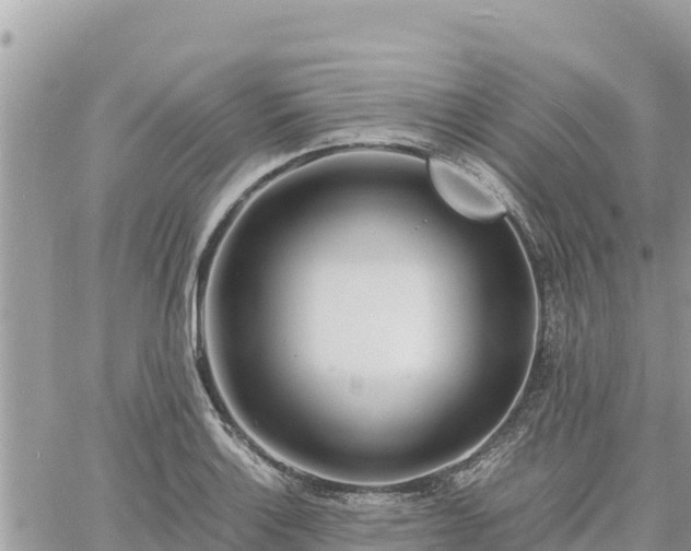 X0000060751132200511171116