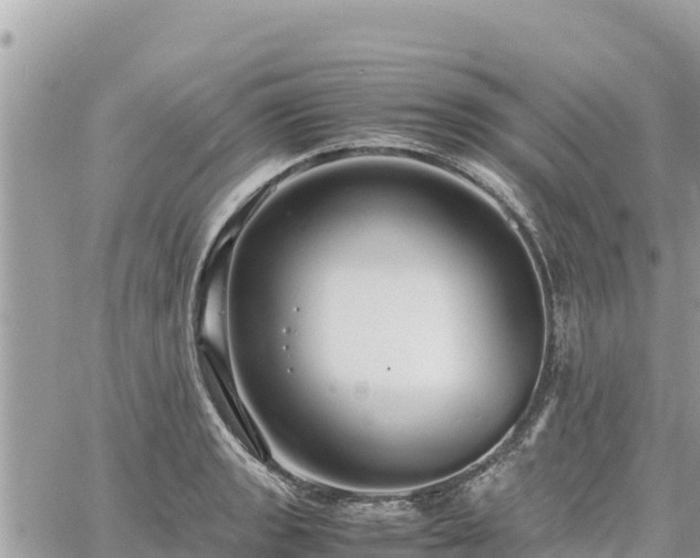 X0000060751133200511171116