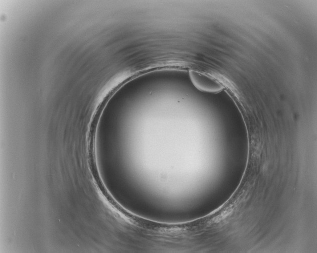 X0000060751135200511171116