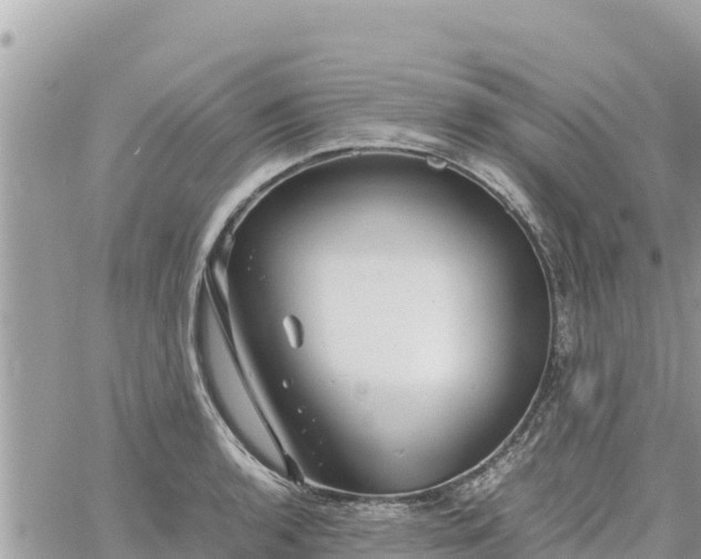 X0000060751136200511171116