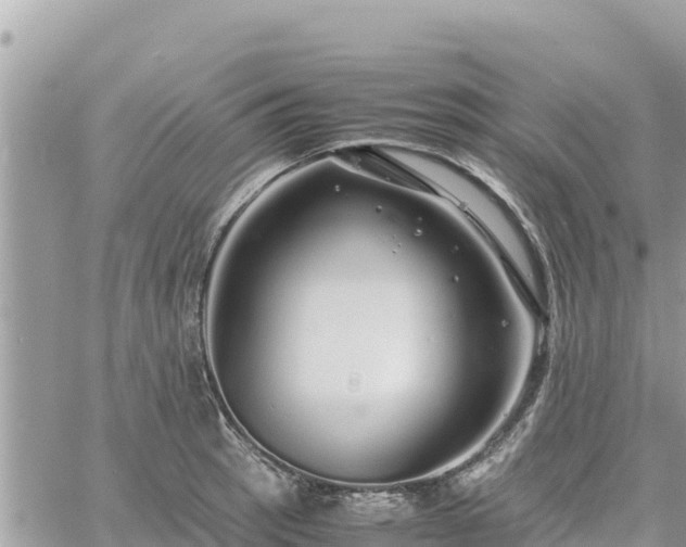 X0000060751137200511171116