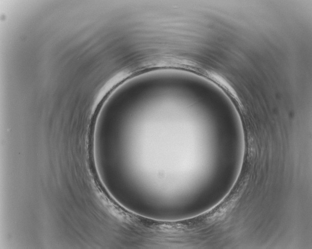 X0000060751138200511171116