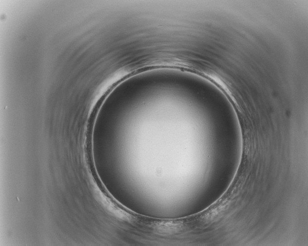 X0000060751139200511171116