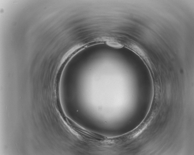 X0000060751141200511171116