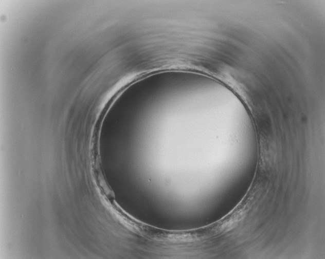 X0000060751142200511171116