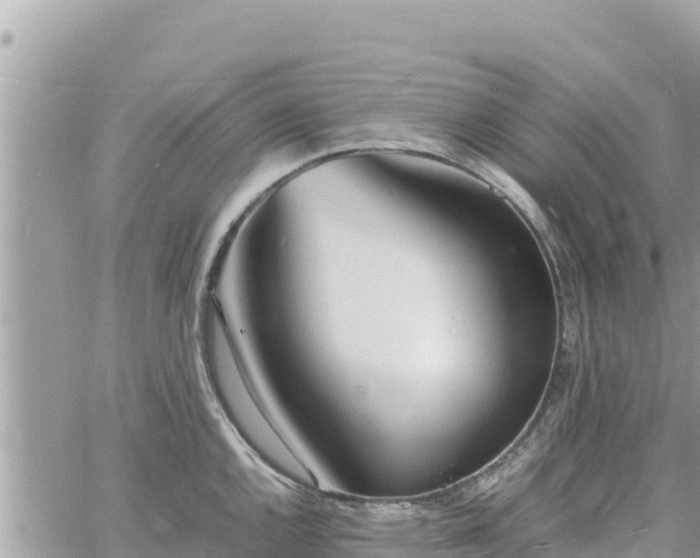 X0000060751144200511171116