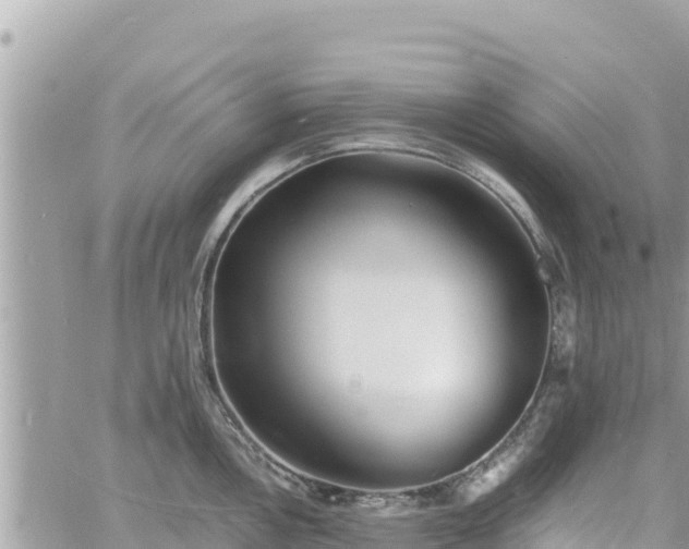 X0000060751146200511171116