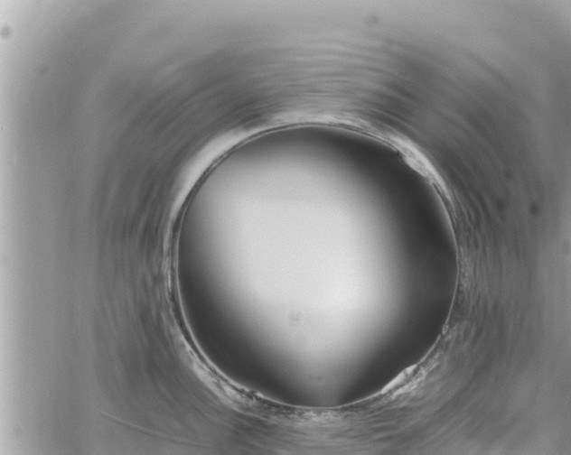 X0000060751148200511171116