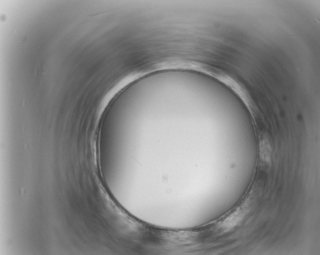 X0000060751150200511171116