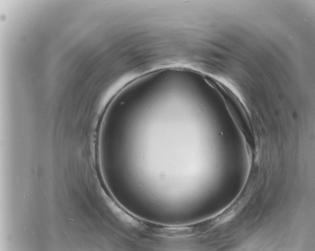 X0000060751151200511171116