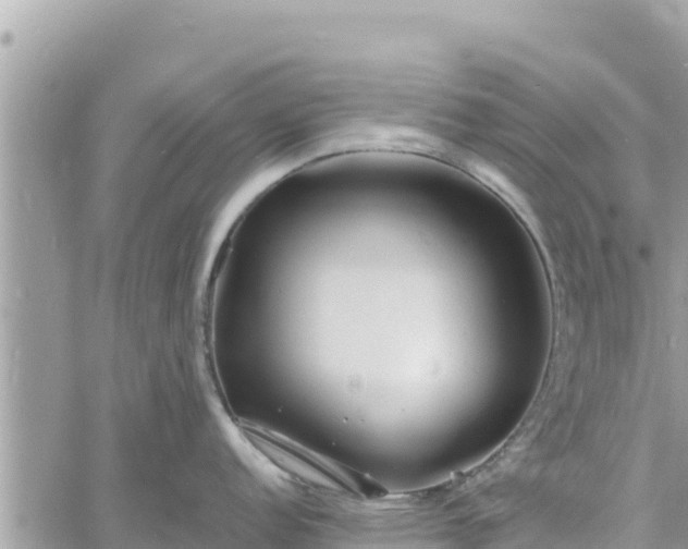 X0000060751152200511171116