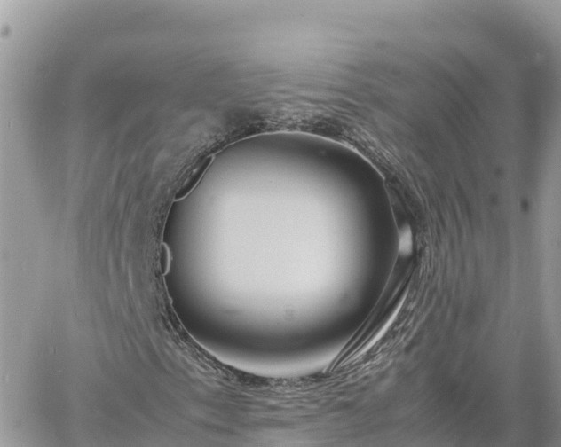 X0000060751153200511171115