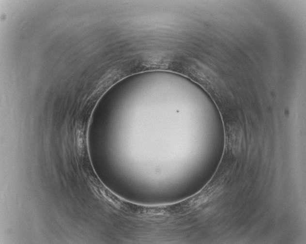 X0000060751154200511171115